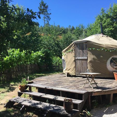 Star Gazing Luxury Yurt With River Views, Off Grid Eco Living Vale do Barco Buitenkant foto