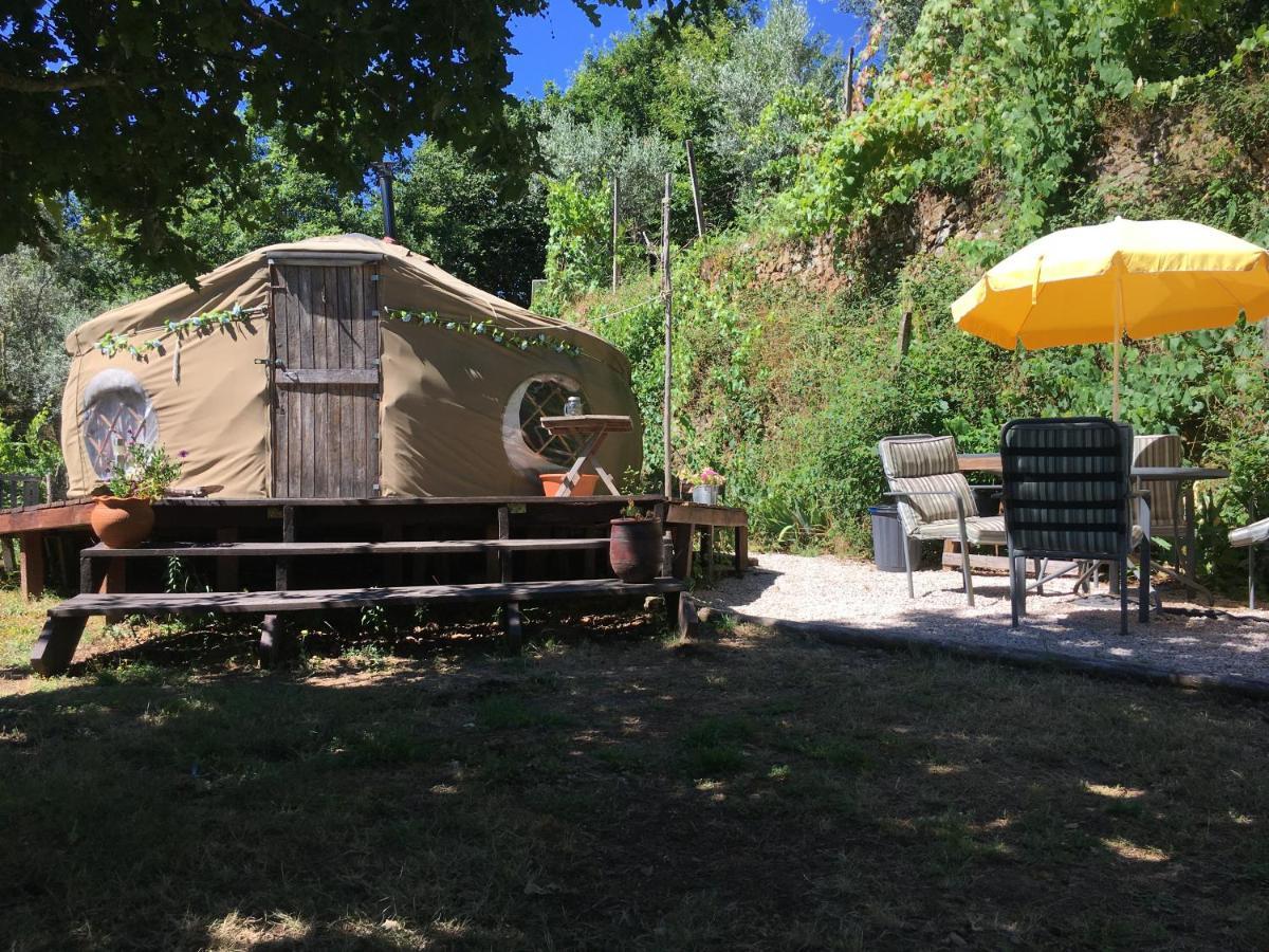 Star Gazing Luxury Yurt With River Views, Off Grid Eco Living Vale do Barco Buitenkant foto