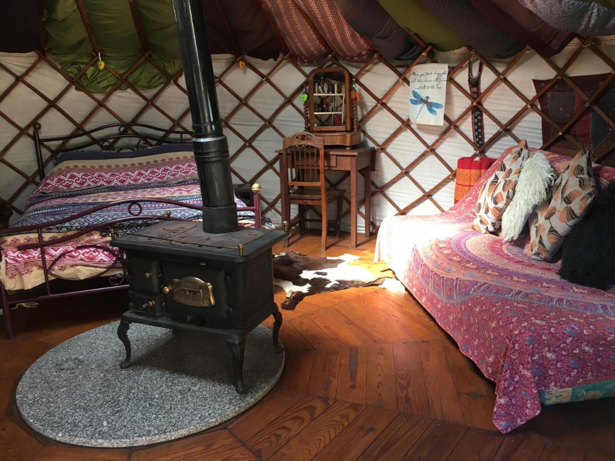 Star Gazing Luxury Yurt With River Views, Off Grid Eco Living Vale do Barco Buitenkant foto