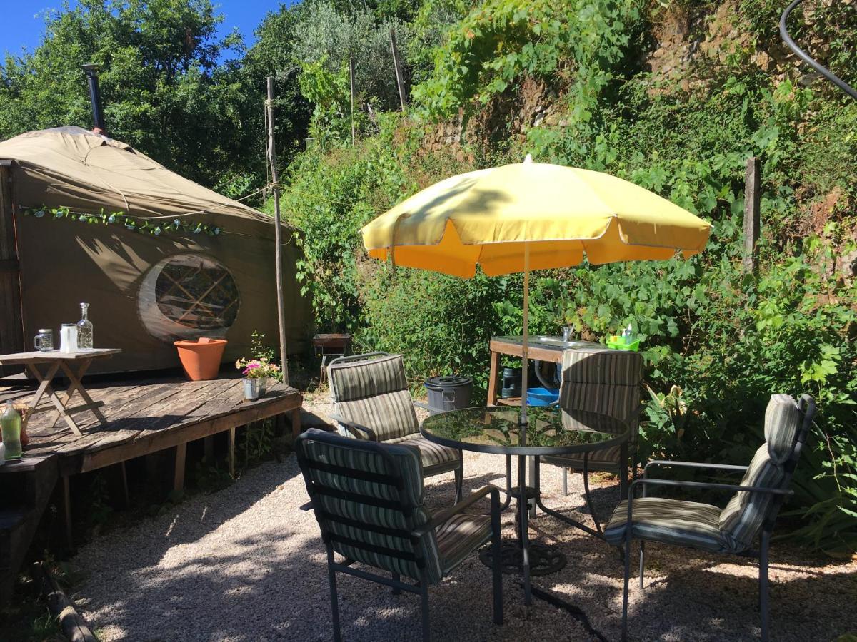 Star Gazing Luxury Yurt With River Views, Off Grid Eco Living Vale do Barco Buitenkant foto