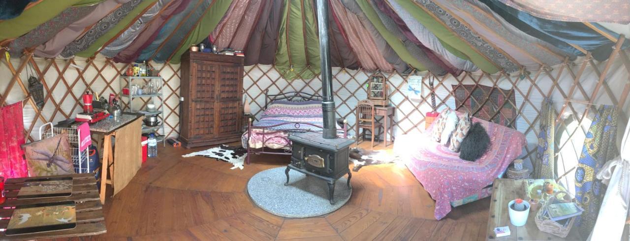 Star Gazing Luxury Yurt With River Views, Off Grid Eco Living Vale do Barco Buitenkant foto