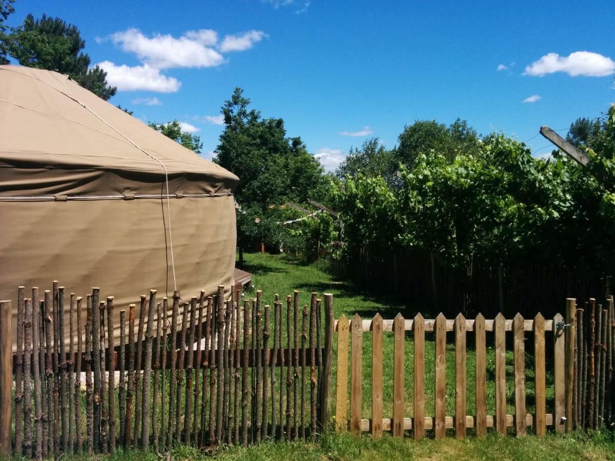 Star Gazing Luxury Yurt With River Views, Off Grid Eco Living Vale do Barco Buitenkant foto